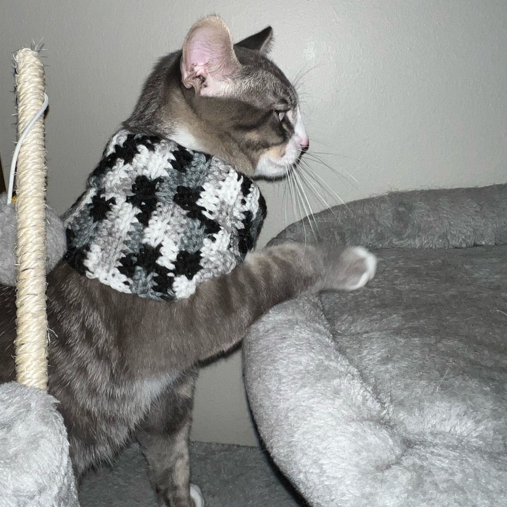 Homemade crochet cat/dog neck warmer any size